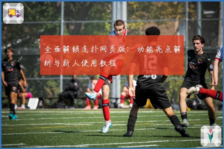 全面解锁虎扑网页版：功能亮点解析与新人使用教程