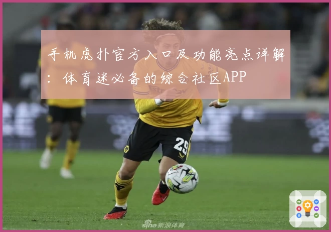 手机虎扑官方入口及功能亮点详解：体育迷必备的综合社区APP