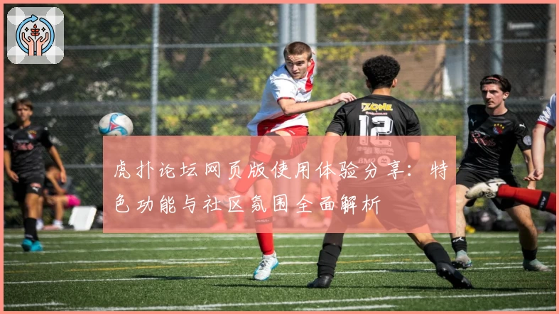 虎扑论坛网页版使用体验分享：特色功能与社区氛围全面解析